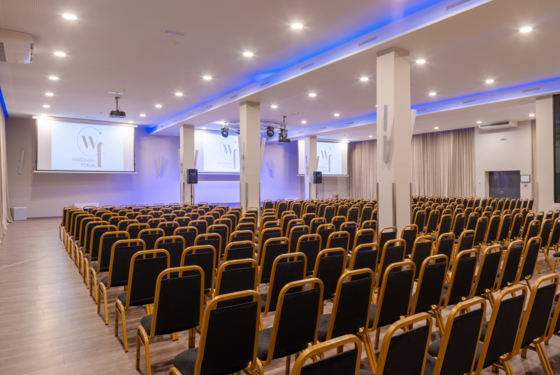 Large Scale Conferences
