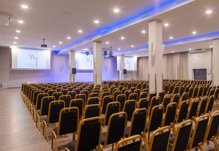 Large Scale Conferences